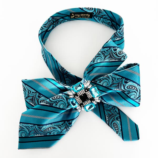 Bow necktie stripes and paisley pattern